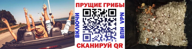 цена наркотик  Советская Гавань  Псилоцибиновые грибы ЛСД 