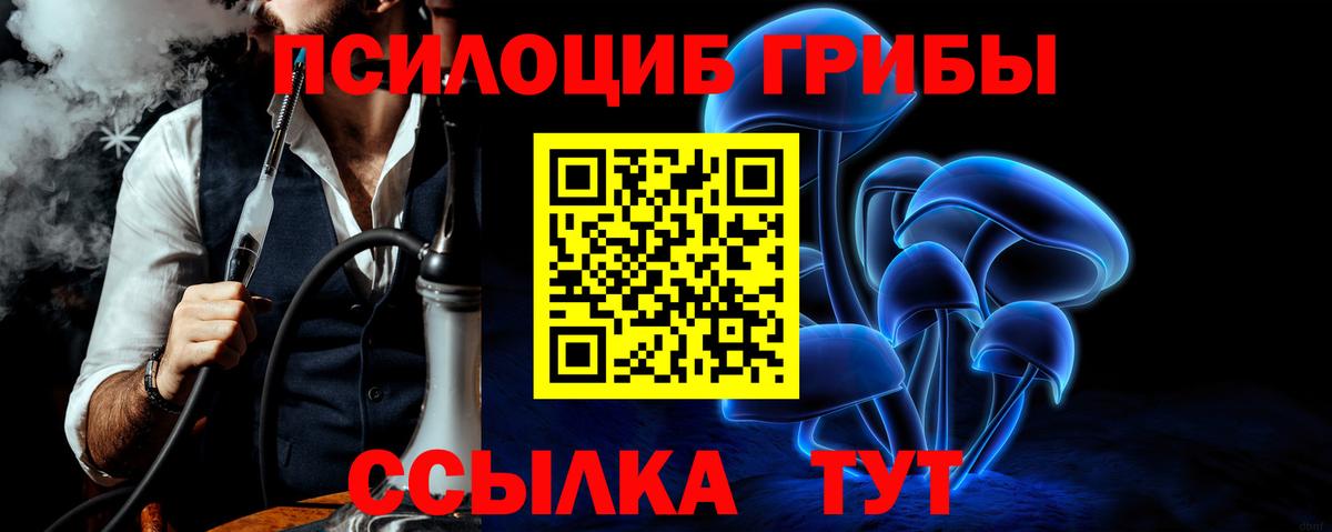 Галлюциногенные грибы MAGIC MUSHROOMS Советская Гавань